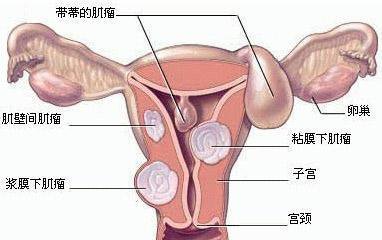 第217页