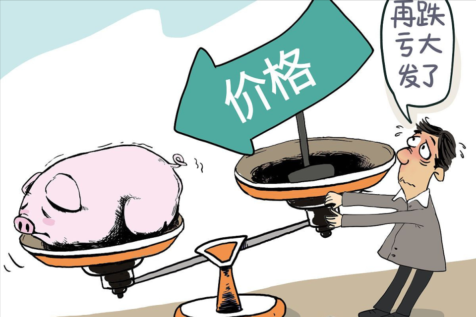 地方新闻 第10页