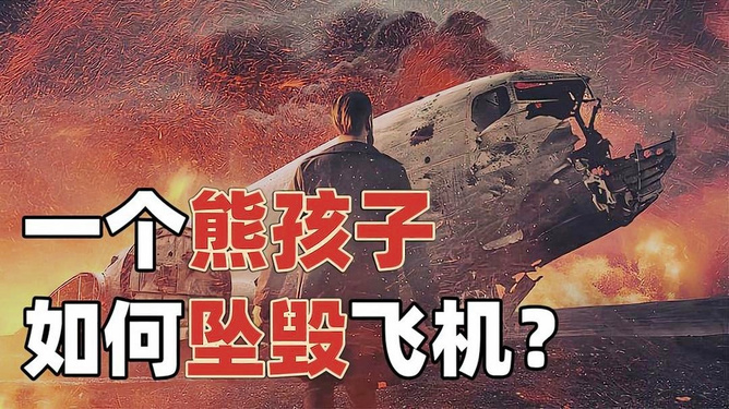 熊孩子导致飞机坠毁熊孩子导致飞机坠毁，深度解析事件背后的真相与启示